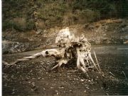Naturaleza muerta. Augasmestas, Lugo